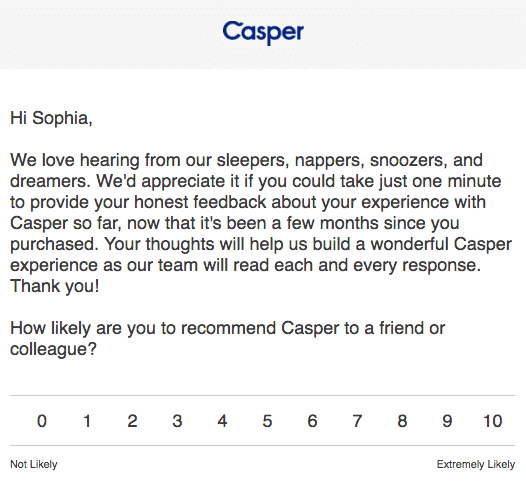 casper-nps-survey-1